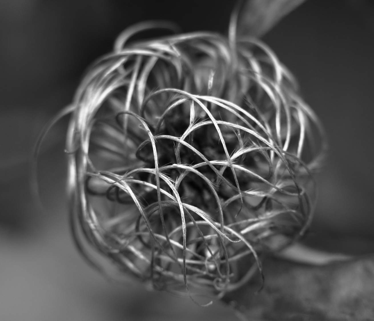 2015 10 29 HTP 000080649ebw